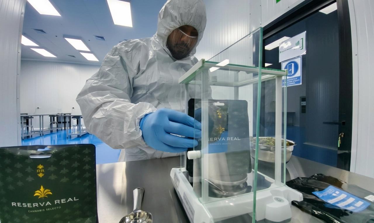 Gowned technician weighing packaged medical cannabis flower on an analytical balance inside the licensed laboratory in El Guarco, Cartago.